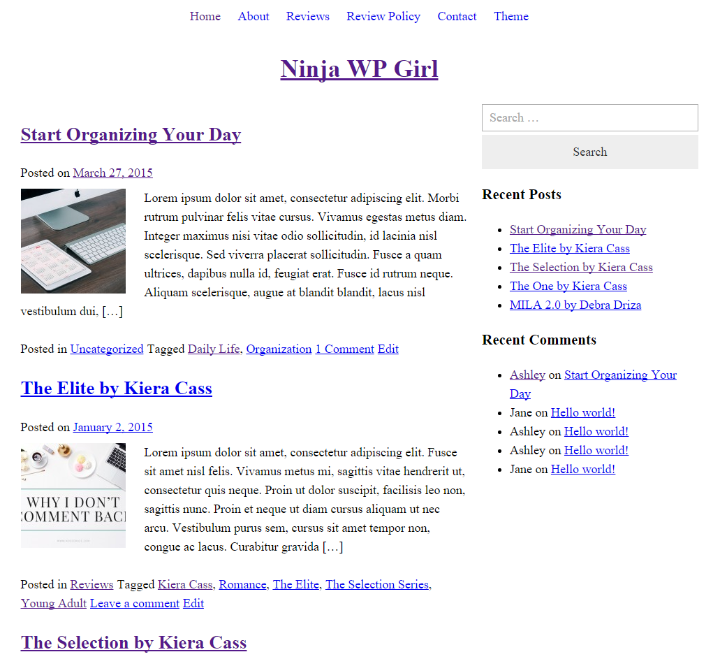 A blank, unstyled WordPress parent theme.