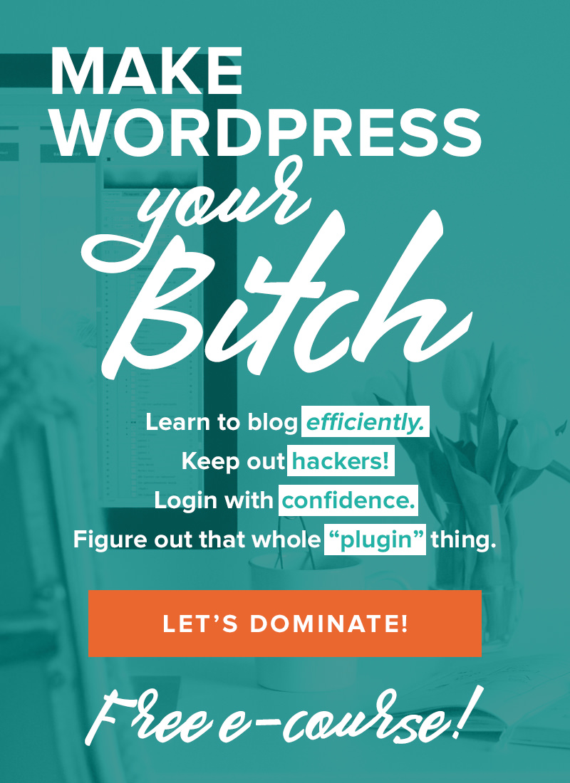 Make WordPress Your Bitch: Learn to blog efficiently, keep out hackers, login with confidence, and figure out that whole 'plugin' thing.